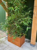 cortenstaal_rechthoek_plantenbak_bamboe