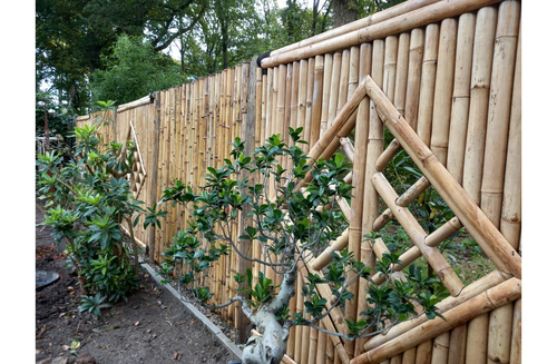 bamboe_uv_beits_transparant