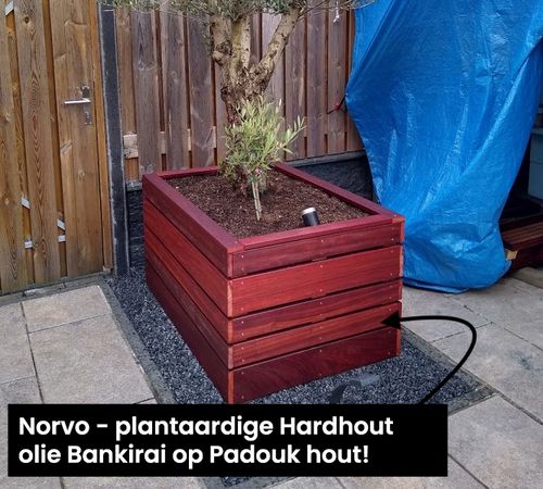 bankirai_op_padouk_norvo