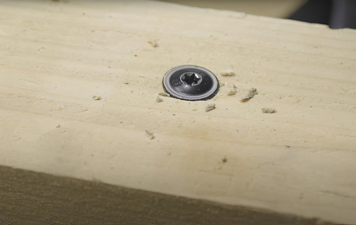 Tellerkopschroevenzwartekop