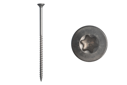 rvs_schroef_tx25_100mm