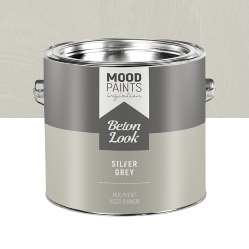 betonlook_verf_silver_grey_2