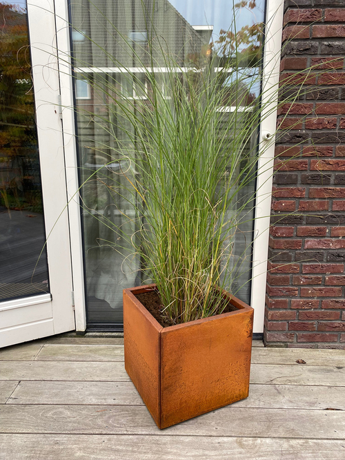 cortenstaal_vierkante_plantenbak_siergras