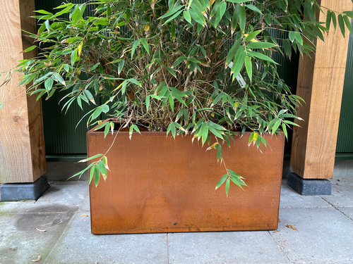 cortenstaal_rechthoek_plantenbak_bamboe_3_1