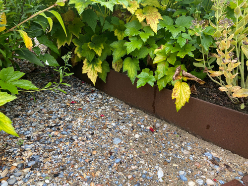 borderrand_cortenstaal_5