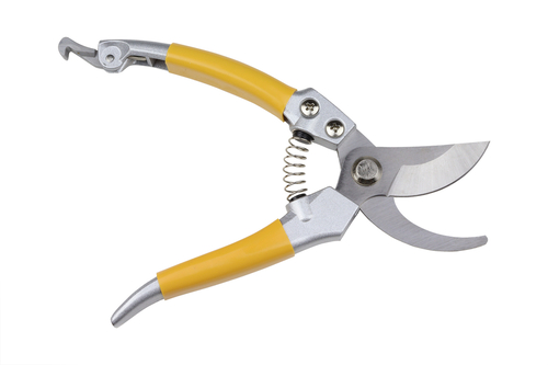 snoeischaar_200_mm_per_stuk_2