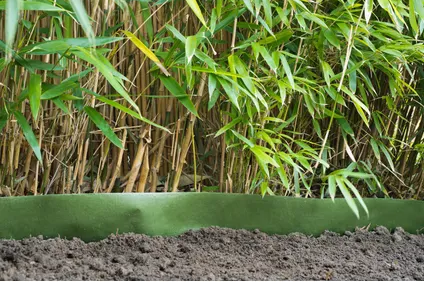 wortelbegrenzer_groen_pp