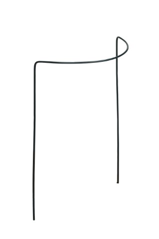 plantensteun_halfrond