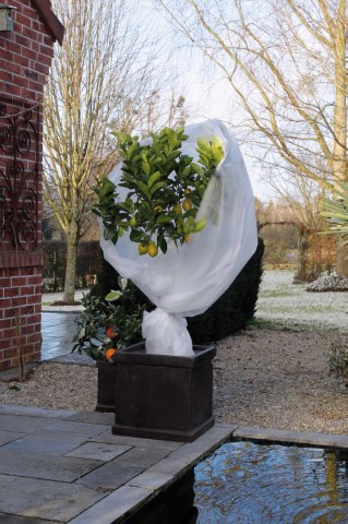 beschermhoes_planten_200_x_1000cm