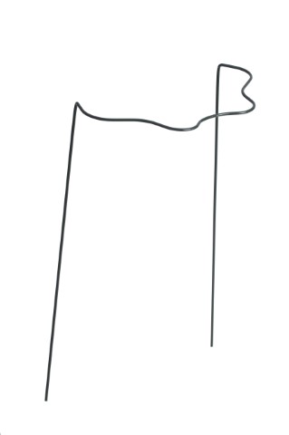 plantensteun_sierlijk_1